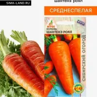 Семена Морковь &laquo;Шантенэ Роял&raquo;, 1 г, &laquo;Агросс&raquo;