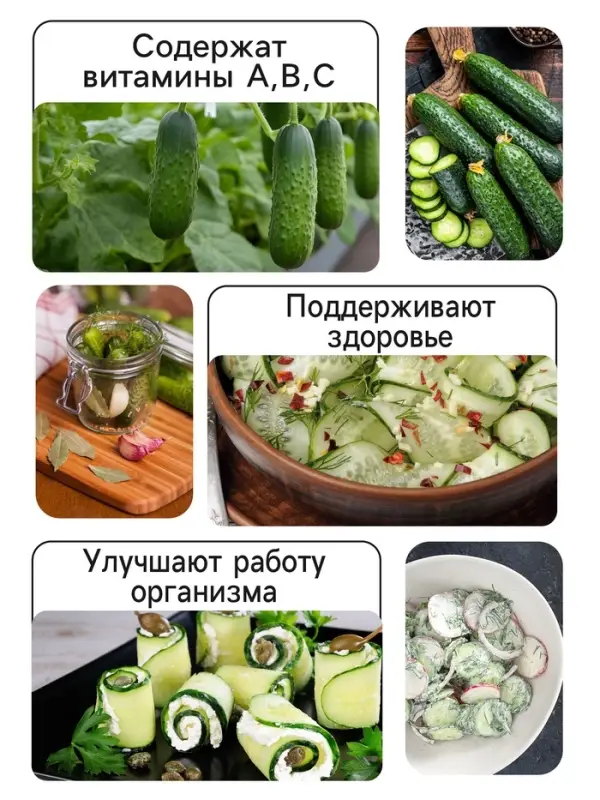 Семена Огурец &laquo;Санькина Любовь&raquo;, F1, супербукетный тип, партенокарпический, 7 шт., &laquo;Уральский дачник&raquo;