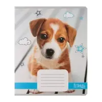 Комплект тетрадей из 10 штук, 18 листов в линию Calligrata "Домашние животные", обложка мелованный картон, ВД-лак, блок офсет, 5 видов по 2 штуки