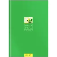 Книга учета А4, 96 листов в линейку, 7БЦ, зелёный