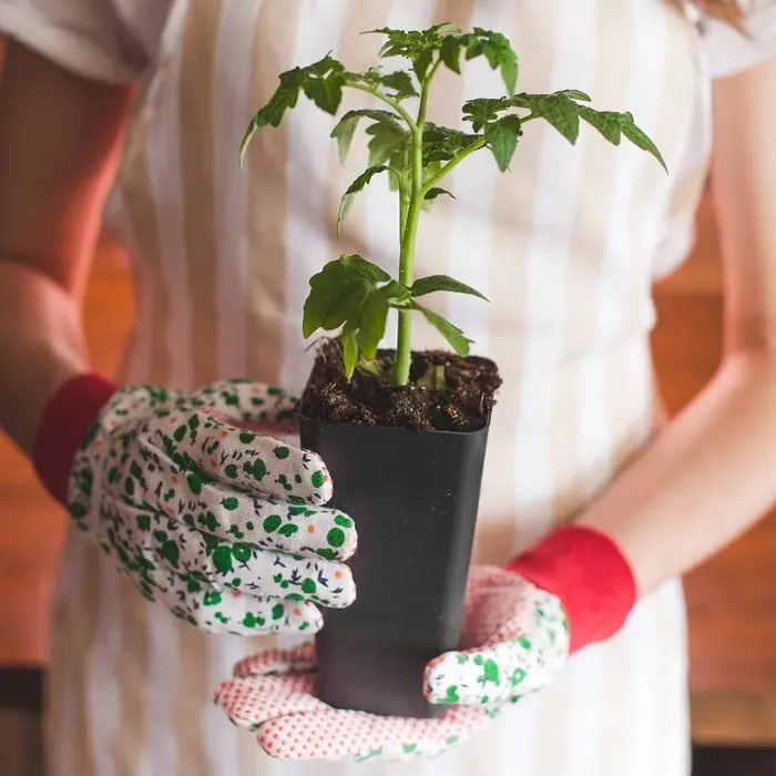 Горшок для рассады, 600 мл, d=8 см, h=15 см, пластик, МИКС, Greengo Горшок для рассады, 600 мл, d=8 см, h=15 см, пластик, МИКС, Greengo