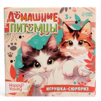 HAPPY VALLEY Игрушка-сюрприз "Домашние питомцы", коты
