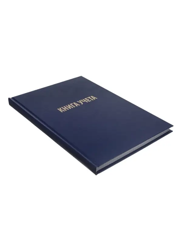 Книга учета А4 192л Бумвинил Офсет клетка, синий