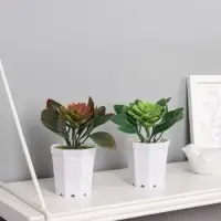 Искусственный цветок в горшке &laquo;Эхеверия&raquo;, 6.5&times;10 см, МИКС