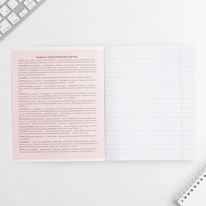 Тетрадь в линейку, предметная, 48 л.,на скрепке, А5 &laquo;РОЗОВАЯ СЕРИЯ. Литература&raquo;