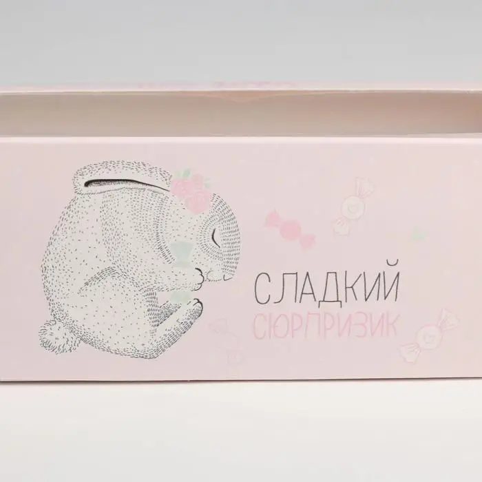 Коробка для макарун, кондитерская упаковка «Сладкий сюрприз», 5.5 х 18 х 5.5 см