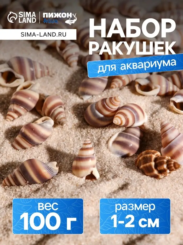 Набор ракушек, 1 - 2 см, 100 г