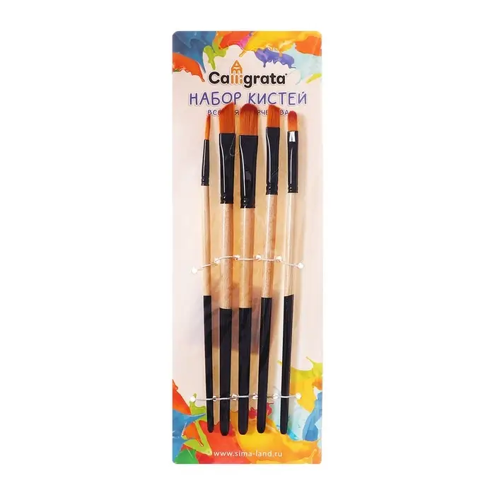 Набор кистей для рисования, нейлон, 5 штук: круглая, плоские, международный размер