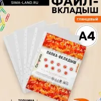 Файл-вкладыш А4, 60 мкм, Calligrata, плотные, глянцевый, вертикальный, 25 штук