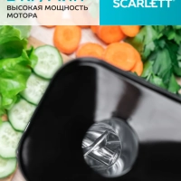 Мясорубка электрическая с насадками для мяса и овощей