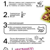Семена цветов Колеус &laquo;Визард&raquo;, мозаика, &laquo;Семена Алтая&raquo;, цветной пакет, 5 шт.