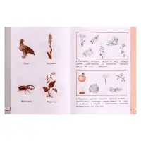 Рабочая тетрадь &laquo;Окружающий мир №2&raquo;, новое оформление, 1 класс, Ивченкова Г.Г., ФГОС