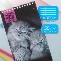 Блокнот &laquo;Альт. Кошки&raquo;, А5, 40 листов, на гребне, МИКС
