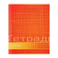 Тетрадь 48 листов в линейку Calligrata «Цвет и графика», обложка мелованная бумага, блок №2, белизна 75% (серые листы), МИКС