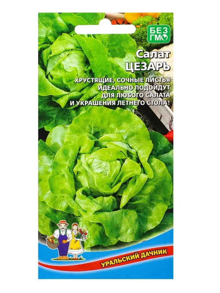 Семена Салат &laquo;Цезарь&raquo; 0.25 г