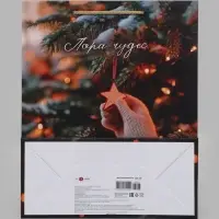 Пакет подарочный &laquo;Пора чудес&raquo;, 26&times;12&times;32 см