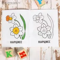 Раскраска &laquo;Цветы&raquo;, 16 стр.