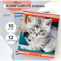Комплект тетрадей из 10 штук, 12 листов в клетку Calligrata "Котята", обложка мелованный картон, ВД-лак, блок офсет, 5 видов по 2 штуки