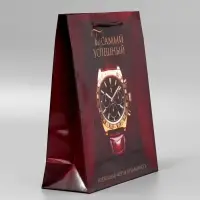 Пакет подарочный ламинированный, упаковка, «Успех», ML, 25 х 21 х 8 см