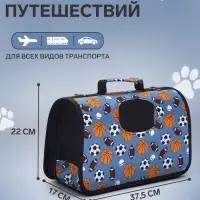 Сумка - переноска для животных &laquo;Спорт&raquo;, размер S, 37.5&times;17&times;22 см, голубая