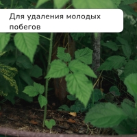 Секатор плоскостной, 8" (20 см), c пластиковыми ручками, Greengo