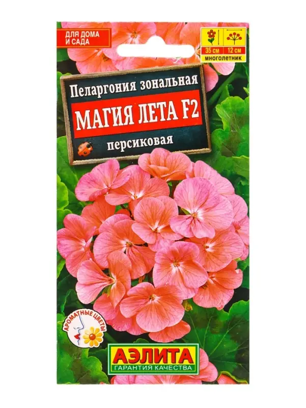 Семена цветов Пеларгония Магия лета F2 персиковая Мн, Ц/П,5 шт.