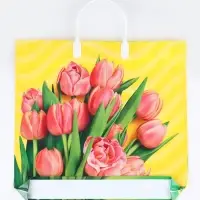 Пакет подарочный &laquo;Муза&raquo;, полиэтиленовый с пластиковой ручкой, 37&times;34 см, 80 мкм