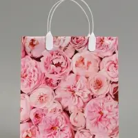 Пакет подарочный &laquo;Мариэль&raquo;, мягкий пластик, 23&times;27 см, 150 мкм