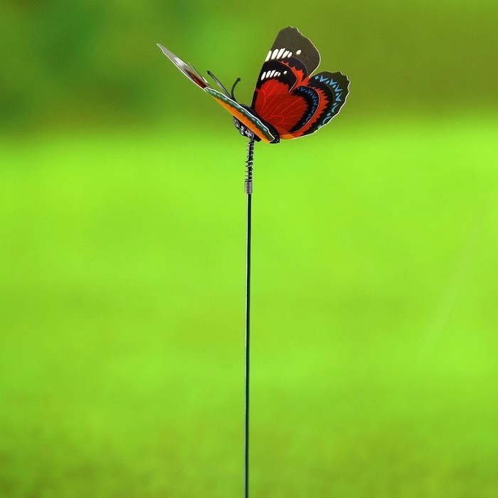 Штекер Штекер "Бабочка Дельфиус" 25см, набор 6шт, МИКС