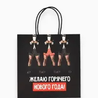 Пакеты подарочные &laquo;Весёлый Новый год&raquo;, набор 5 шт., 23&times;27&times;11.5 см