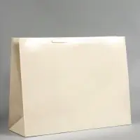 Пакет ламинированный горизонтальный "Молочный", XXL 61 х 46 х 20 см Пакет ламинированный горизонтальный "Молочный", XXL 61 х 46 х 20 см