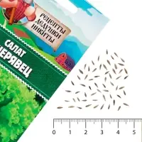 Семена Салат "Кучерявец Одесский", 0,5 г