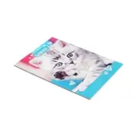 Набор блокнотов А6 24л кл на скобе Котята, мел карт, 4В 20шт