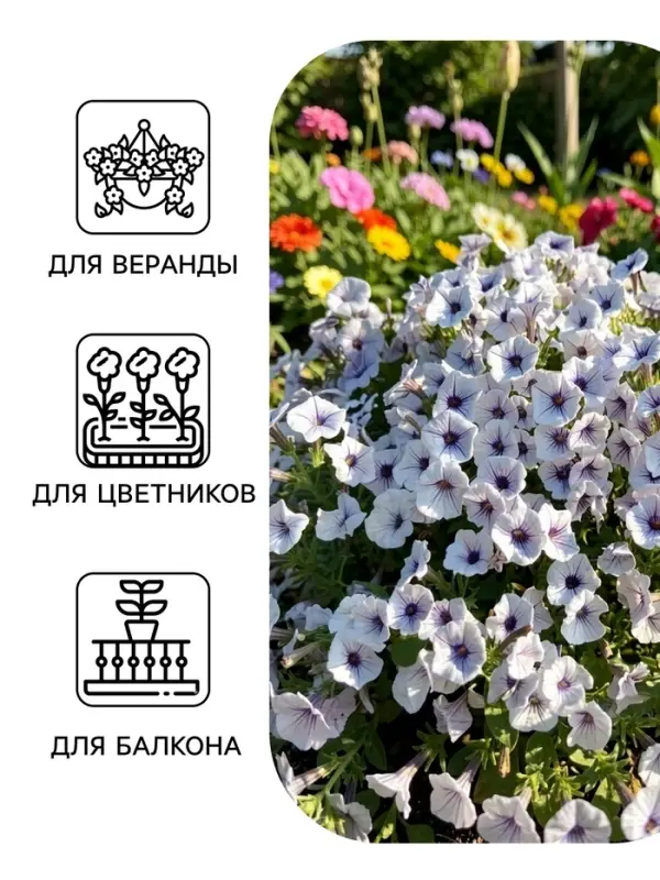 Семена цветов Петуния гибридная &laquo;Пендолино Виолет Айс&raquo; 5 шт.