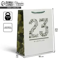 Пакет подарочный ламинированный, упаковка, &laquo;23 февраля&raquo;, MS 18&times;23&times;10 см