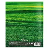 Тетрадь 96 листов в клетку, Calligrata &laquo;Текстура 2&raquo;, МИКС