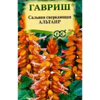 Семена цветов Сальвия Альтаир*, карликовая 4 шт.