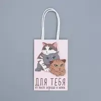 Пакет подарочный крафтовый, упаковка, &laquo;Подарок для тебя&raquo;, 15 х 10 х 6 см