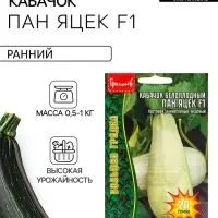 Семена Кабачок белоплодный &laquo;Пан Яцек&raquo;, F1, 20 шт., &laquo;Григорьев&raquo;