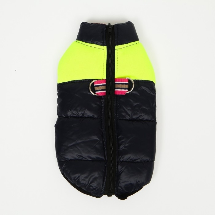 Куртка для собак на молнии, размер 8 (ДС 23 см, ОГ 30, ОШ 22 см), синяя с жёлтым Куртка для собак на молнии, размер 8 (ДС 23 см, ОГ 30, ОШ 22 см), синяя с жёлтым