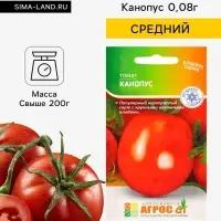 Семена Томат &laquo;Канопус&raquo;, 0.08 г, &laquo;Агросс&raquo;