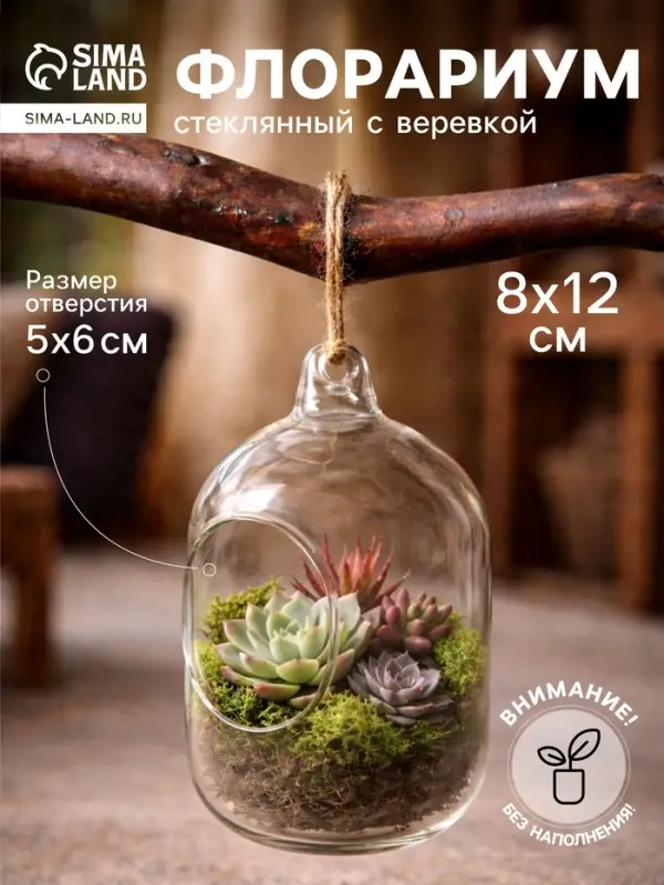 Флорариум &laquo;Цилиндр&raquo;, с верёвкой, d=5&times;6 см, 8&times;12 см