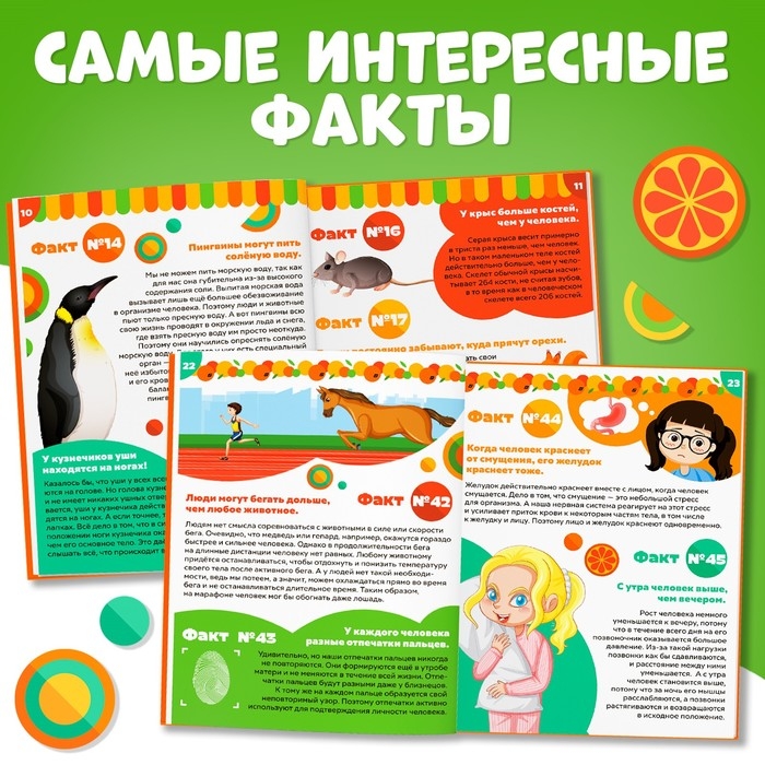 Энциклопедия в твёрдом переплёте «100 фактов о мире вокруг», 48 стр., Чебурашка Энциклопедия в твёрдом переплёте «100 фактов о мире вокруг», 48 стр., Чебурашка