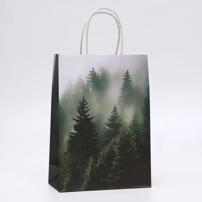 Пакет подарочный крафтовый «Туманный лес» 18×8×25 см, 120 г/м²