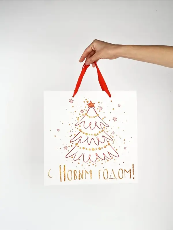 Набор новогодних пакетов &laquo;С Новым Годом!&raquo;