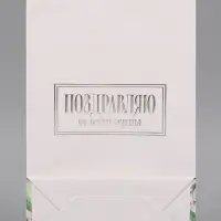 Пакет подарочный ламинированный &laquo;Поздравляю&raquo;, 22.3&times;9&times;35 см