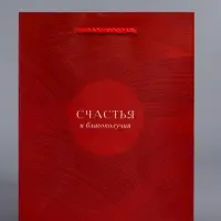 Пакет подарочный "С уважением!" ламинированный 18 х 22,3 х 10 см