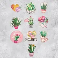 Наклейки-стикеры &laquo;Суккуленты&raquo;, 7 &times; 7 см