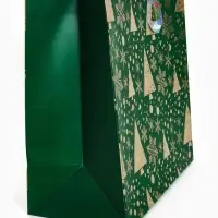 Подарочный пакет «Новогодний», зелёный 40 × 40 × 40 см Подарочный пакет «Новогодний», зелёный 40 × 40 × 40 см