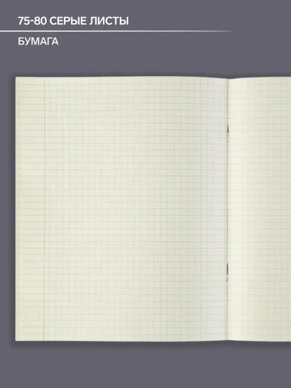 Тетрадь предметная 48 листов в клетку Calligrata, &laquo;Чёрное-белое. Геометрия&raquo;, обложка мелованная бумага, серые листы